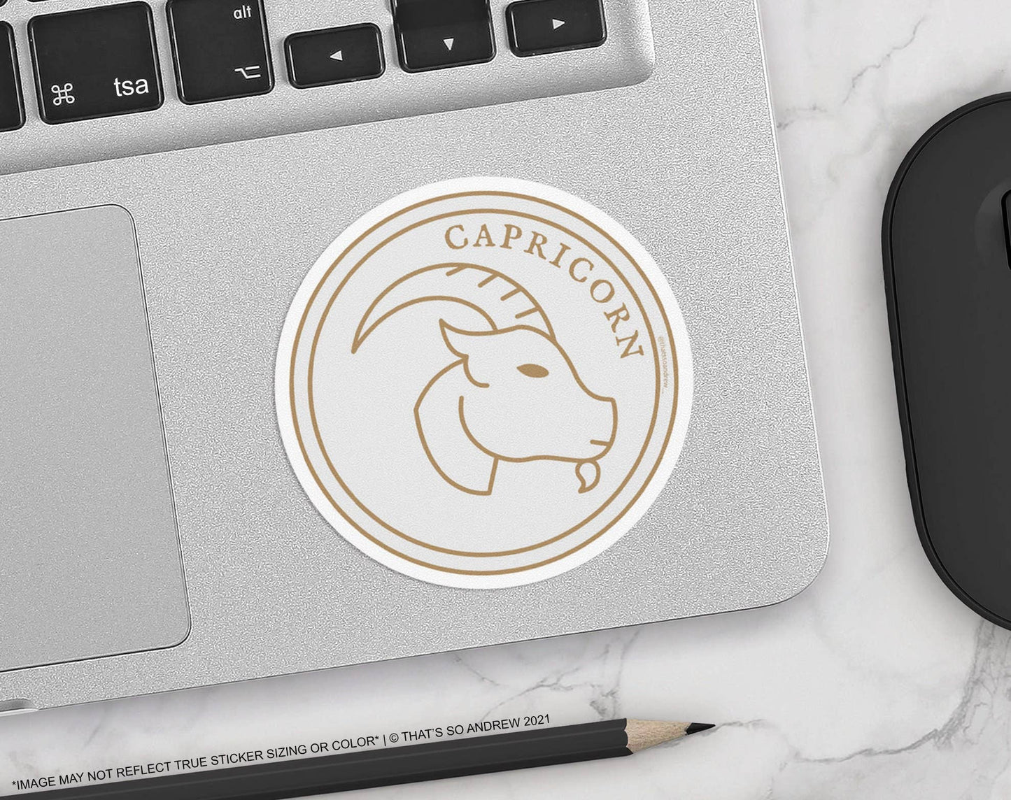 Capricorn Round Sticker